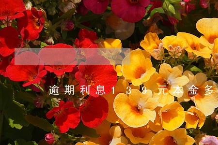 逾期利息139元本金多少 逾期利息139元本金多少