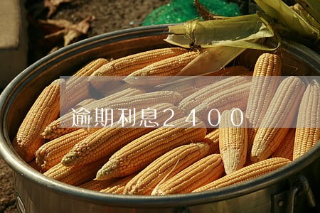 逾期利息2400 逾期利息2400