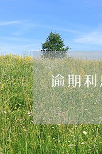 逾期利息24如何计算 逾期利息24如何计算