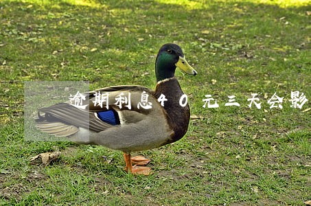 逾期利息40元三天会影响征信吗 逾期利息40元三天会影响征信吗