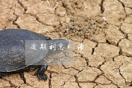 逾期利息4倍 逾期利息4倍