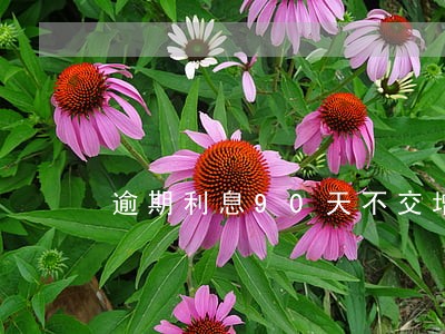 逾期利息90天不交增值税