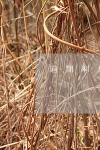 逾期利息lpr利率 逾期利息lpr利率