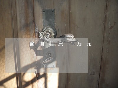 逾期利息一万元 逾期利息一万元