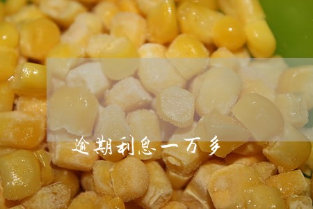 逾期利息一万多 逾期利息一万多