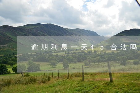 逾期利息一天45合法吗 逾期利息一天45合法吗