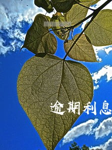 逾期利息一天百分之一 逾期利息一天百分之一