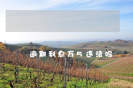 逾期利息万5违法吗