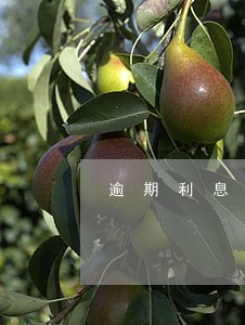 逾期利息万分之二如何计算 逾期利息万分之二如何计算