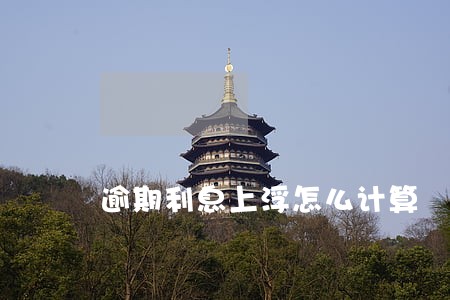 逾期利息上浮怎么计算 逾期利息上浮怎么计算