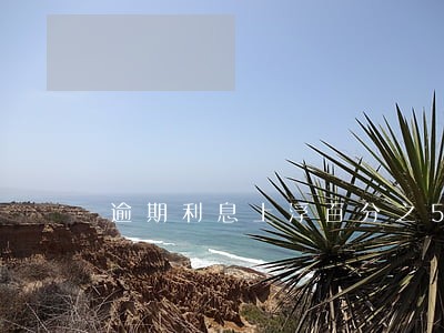 逾期利息上浮百分之50 逾期利息上浮百分之50