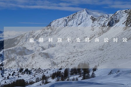 逾期利息不支持诉讼时效 逾期利息不支持诉讼时效