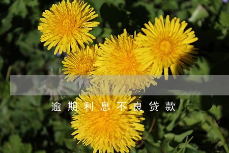 逾期利息不良贷款 逾期利息不良贷款