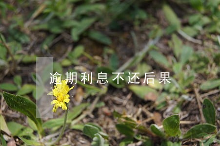 逾期利息不还后果 逾期利息不还后果