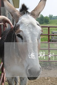 逾期利息与利息 逾期利息与利息
