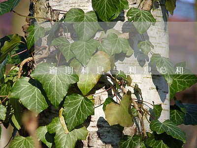 逾期利息与利息总和 逾期利息与利息总和