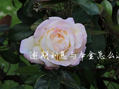 逾期利息与本金怎么还 逾期利息与本金怎么还