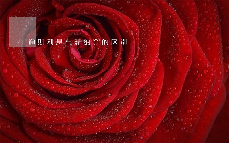 逾期利息与滞纳金的区别 逾期利息与滞纳金的区别