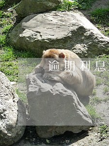 逾期利息与罚息可以同时主张吗 逾期利息与罚息可以同时主张吗