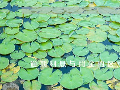 逾期利息与罚金的区别 逾期利息与罚金的区别