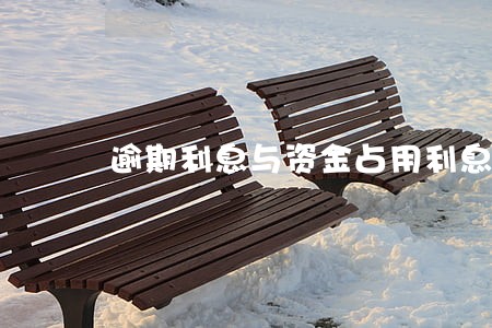 逾期利息与资金占用利息