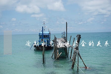 逾期利息与违约金的关系 逾期利息与违约金的关系