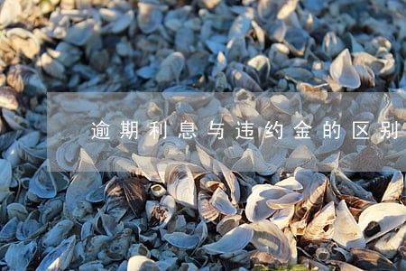逾期利息与违约金的区别 逾期利息与违约金的区别