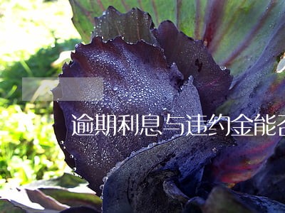逾期利息与违约金能否同时 逾期利息与违约金能否同时