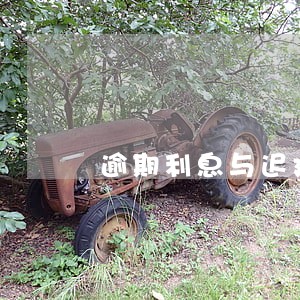 逾期利息与迟延履行利息相同吗 逾期利息与迟延履行利息相同吗