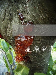 逾期利息与逾期还款违约金 逾期利息与逾期还款违约金