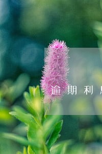 逾期利息与逾期违约金损失的区别 逾期利息与逾期违约金损失的区别