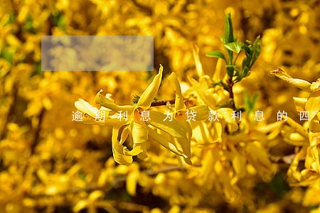 逾期利息为贷款利息的四倍 逾期利息为贷款利息的四倍