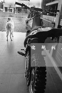 逾期利息付款方式 逾期利息付款方式