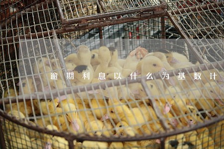 逾期利息以什么为基数计算 逾期利息以什么为基数计算