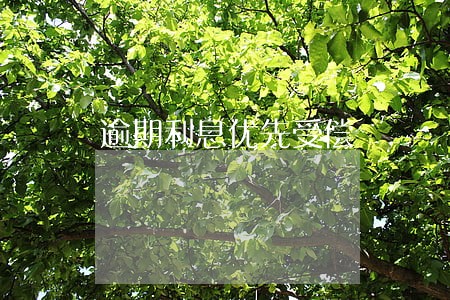逾期利息优先受偿 逾期利息优先受偿