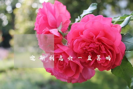逾期利息会一直算吗