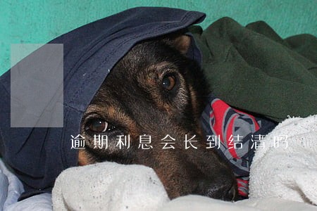 逾期利息会长到结清吗 逾期利息会长到结清吗