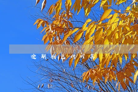 逾期利息何时算 逾期利息何时算