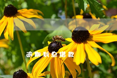 逾期利息借款 逾期利息借款
