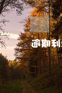 逾期利息借款利息 逾期利息借款利息