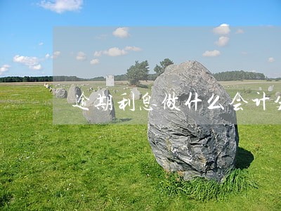 逾期利息做什么会计分录