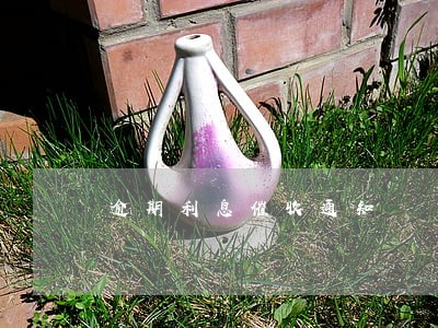 逾期利息催收通知 逾期利息催收通知