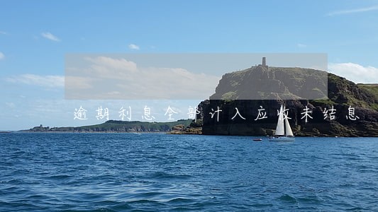 逾期利息全部计入应收未结息 逾期利息全部计入应收未结息