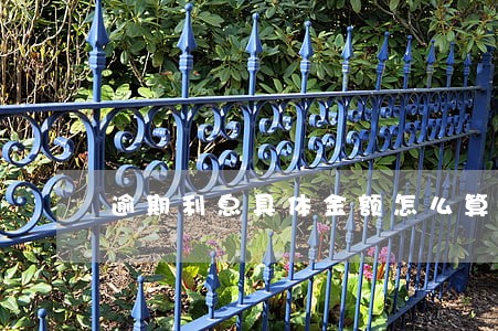 逾期利息具体金额怎么算利率 逾期利息具体金额怎么算利率