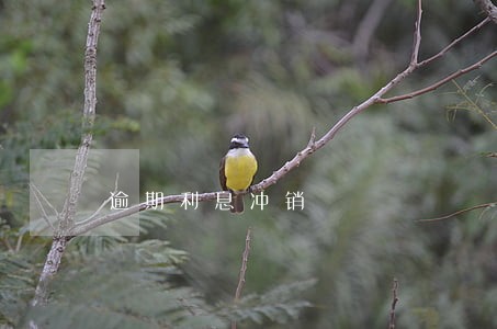 逾期利息冲销 逾期利息冲销