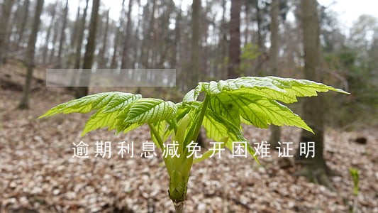 逾期利息减免开困难证明 逾期利息减免开困难证明