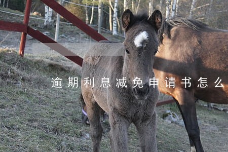 逾期利息减免申请书怎么写 逾期利息减免申请书怎么写