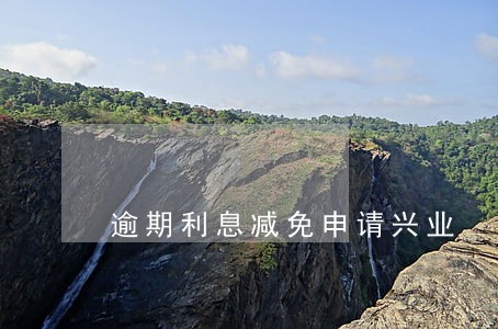逾期利息减免申请兴业 逾期利息减免申请兴业