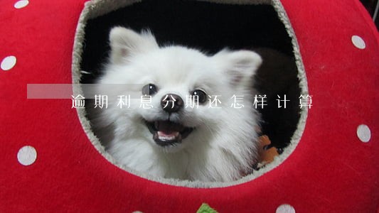 逾期利息分期还怎样计算 逾期利息分期还怎样计算