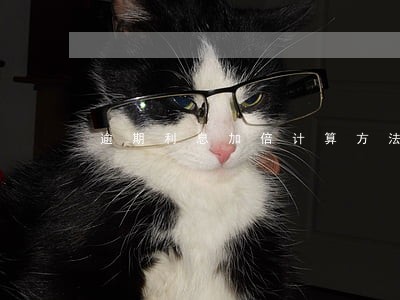 逾期利息加倍计算方法 逾期利息加倍计算方法